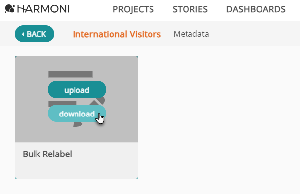 Download Bulk Relabel spreadsheet_project name.png